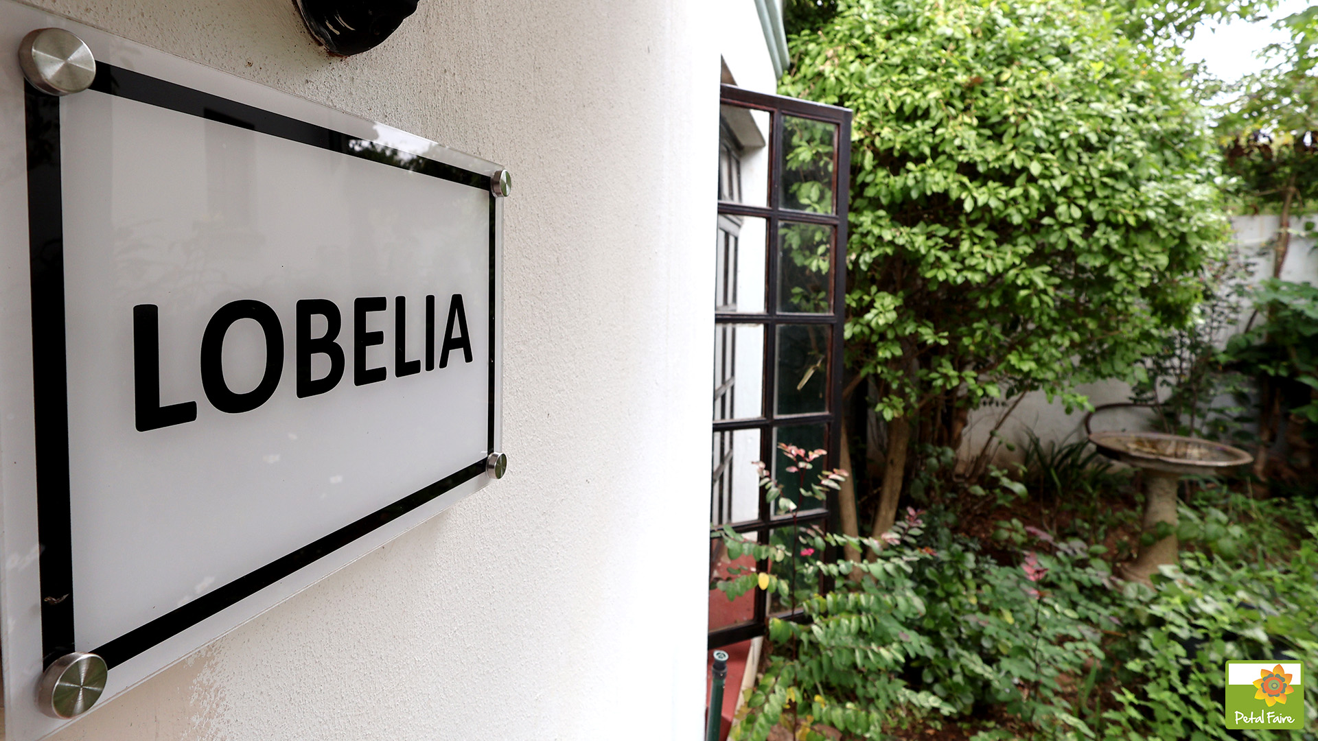 Petal Faire Cottage | Lobelia outside