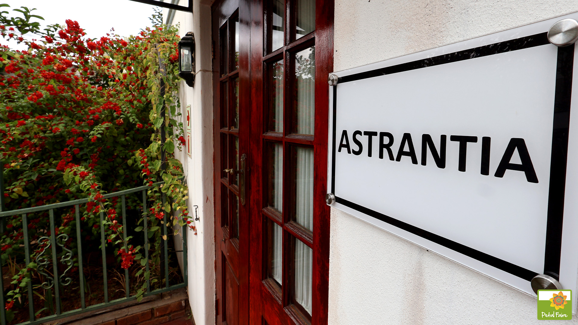 Petal Faire Cottage | Astrantia outside view